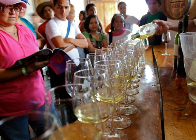 Cata de vinos